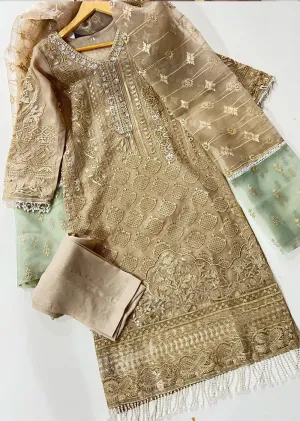 AMR1402 Readymade Organza Suit