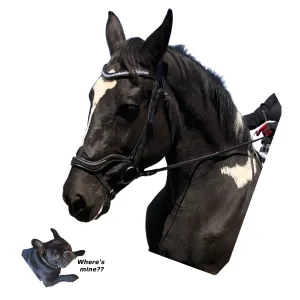 Browband - Padded Leather with Channel Set Crystals Black or Dark Brown