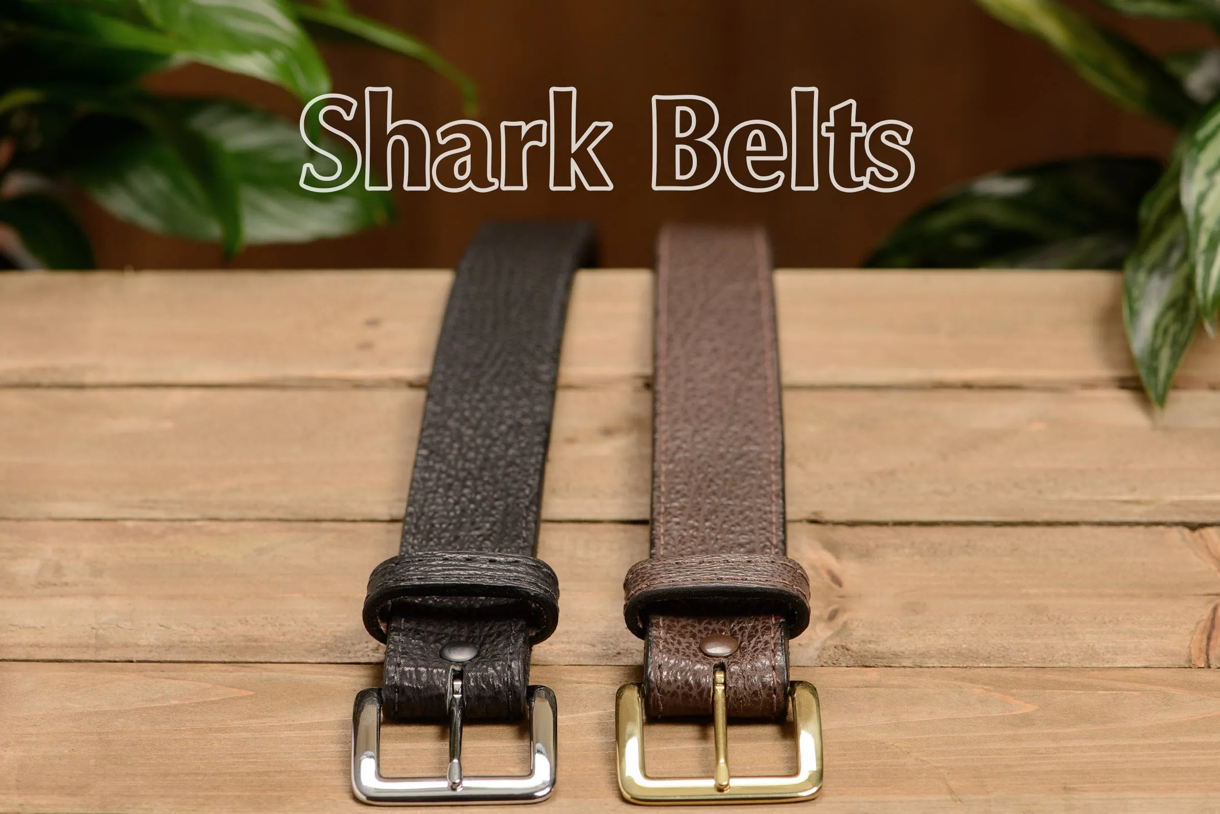 Brown Shark Money Belt With 25" Zipper