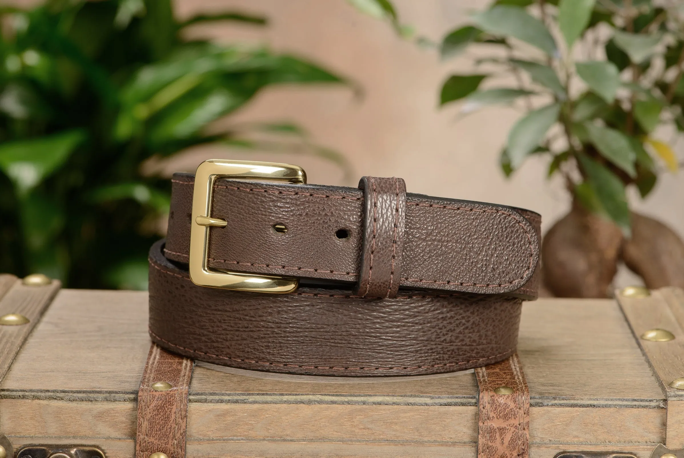 Brown Shark Money Belt With 25" Zipper