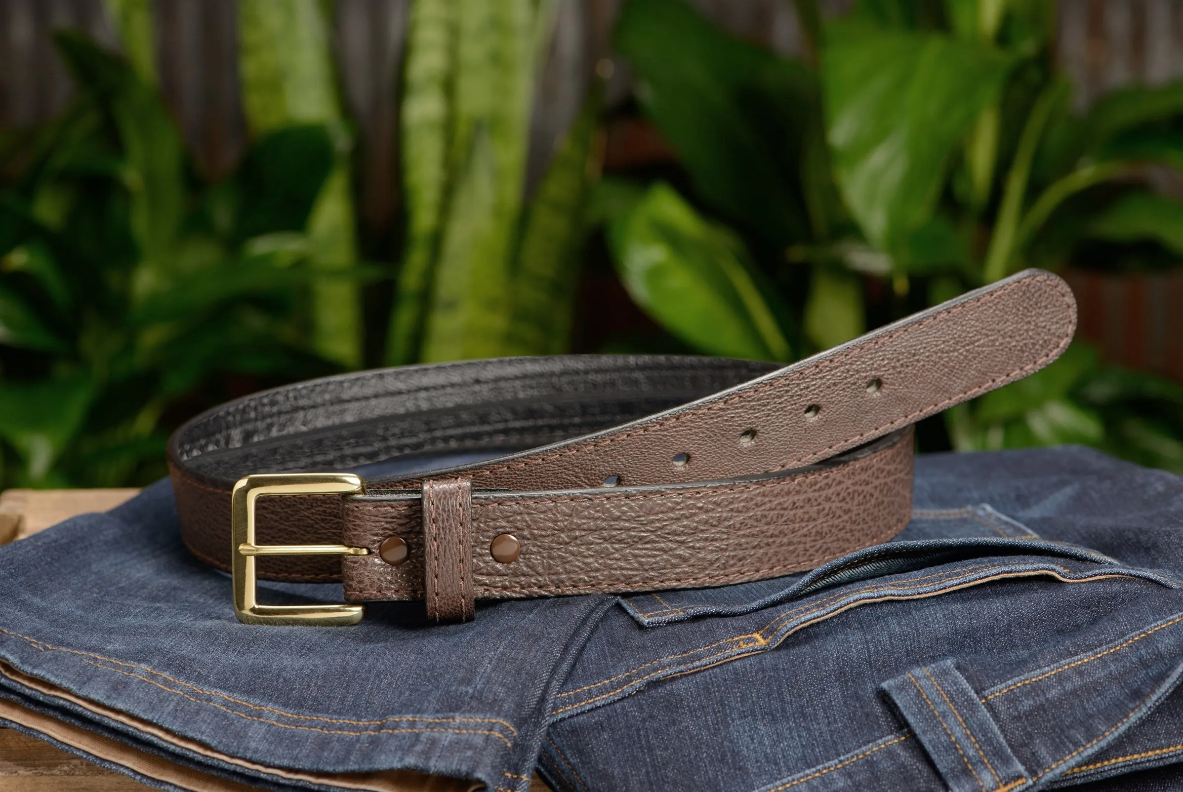Brown Shark Money Belt With 25" Zipper