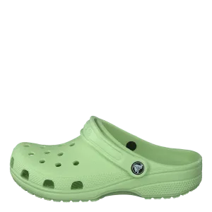 Classic Clog K Celery