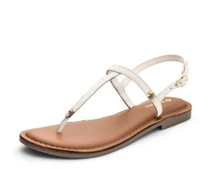 Classic Crema TS