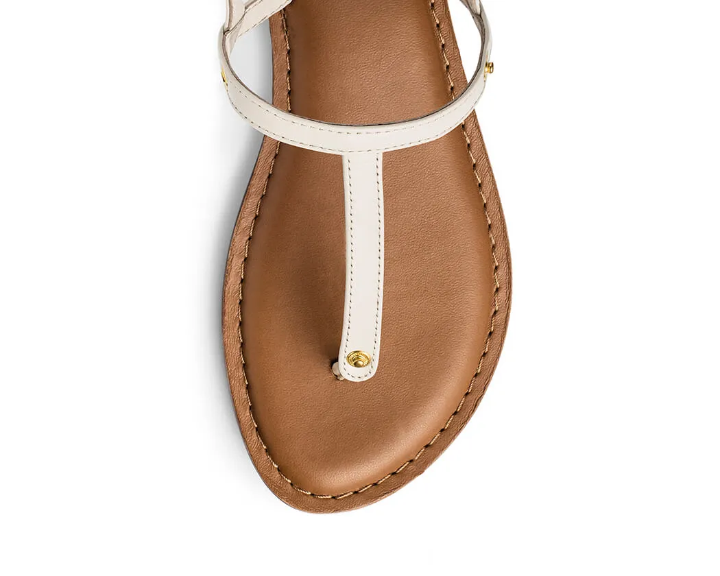 Classic Crema TS