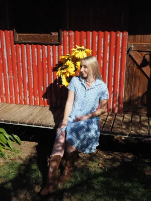Georgia Plaid Dress - Blue