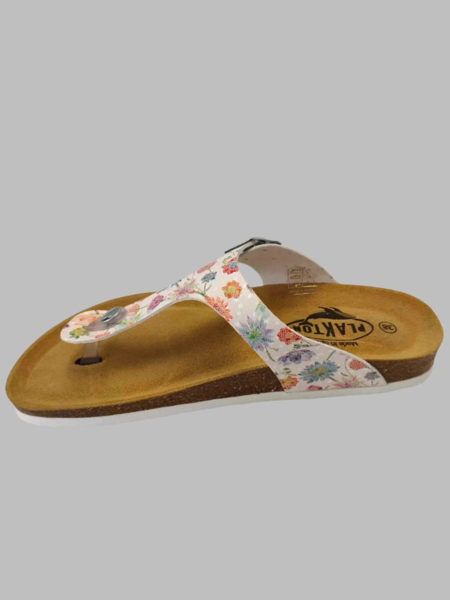 Plakton Florinda