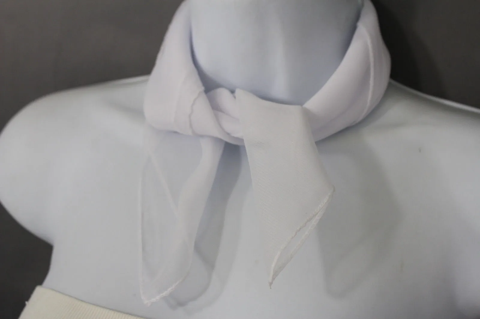 Sheer Fabric Mini Scarf